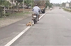 Byndoor: Man booked for dragging cruelly pet dog tied to bike